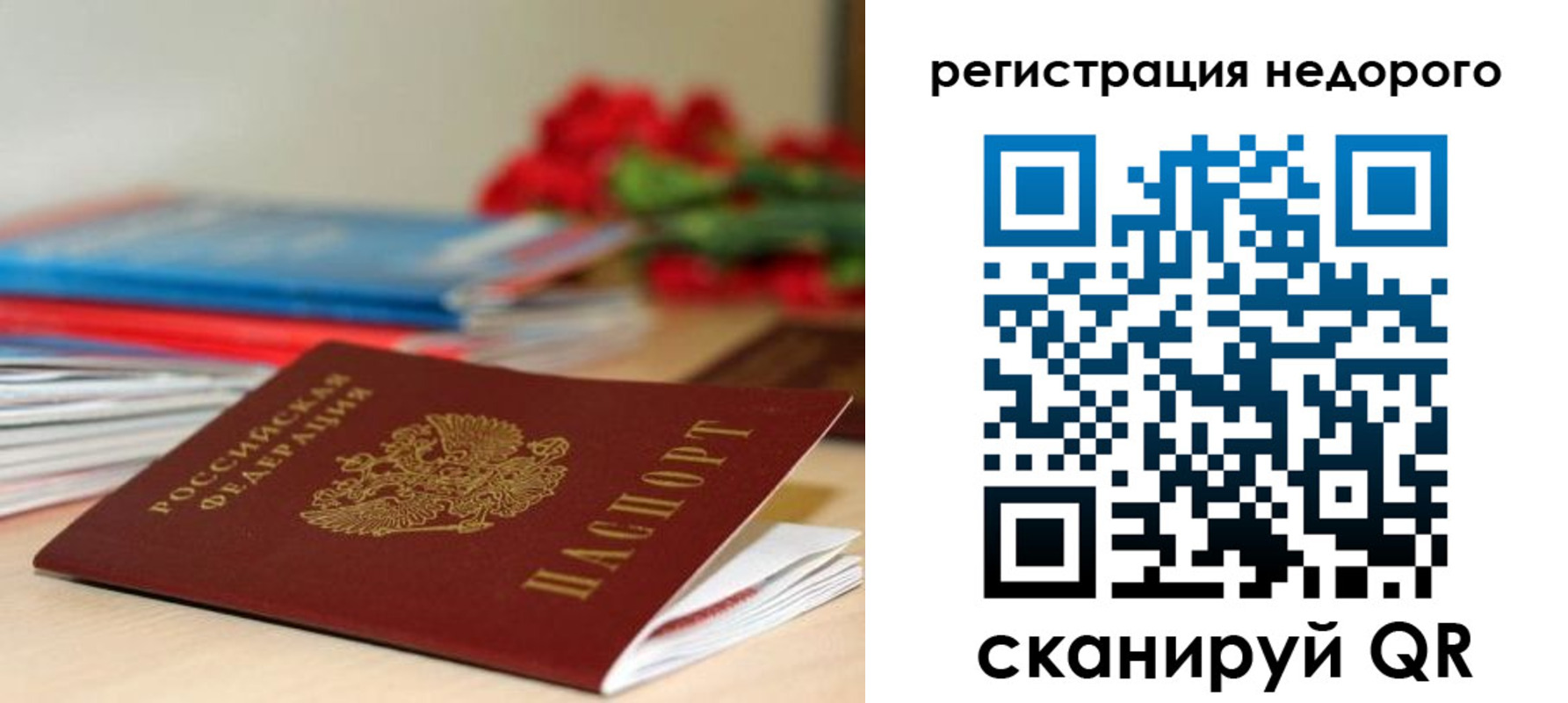 временная регистрация гарантия в Брянской области